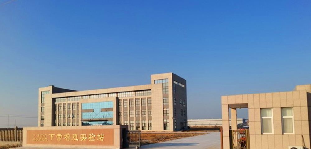 中国水产科学研究院黄海水产研究所