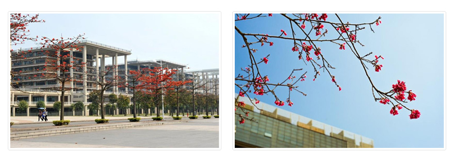 广东工业大学