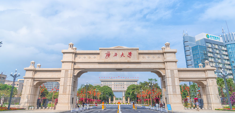 广西大学