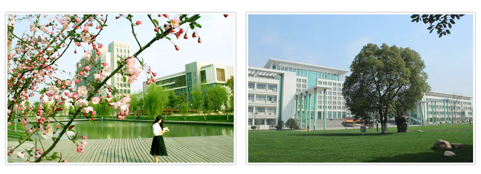 合肥学院