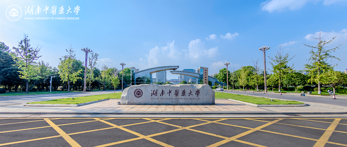 湖南中医药大学面向海内外公开选聘院（所）长的公告