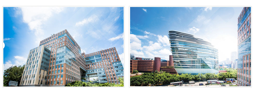 香港理工大学