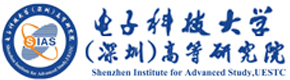 电子科技大学（深圳）高等研究院